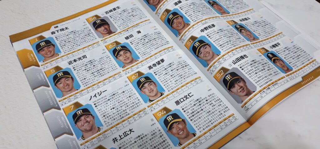 プロ野球選手名鑑の記事。2連覇を狙う阪神タイガースのページ。